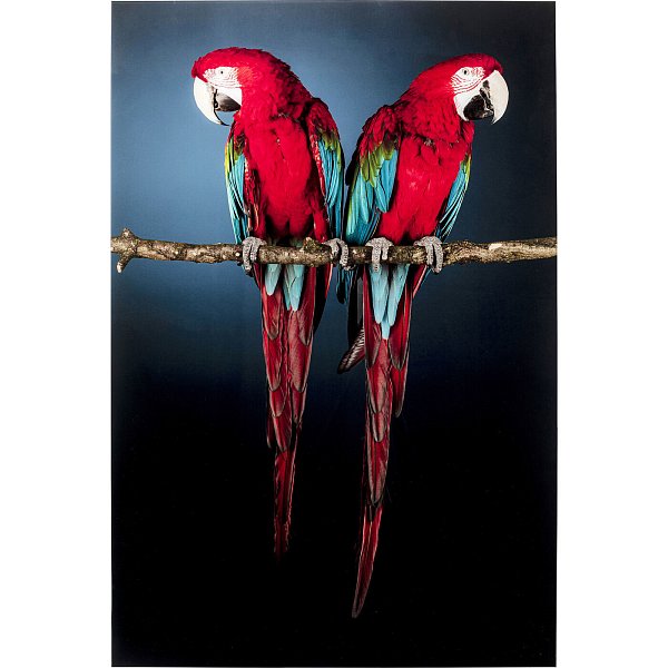 Картина Parrots 53086 Kare