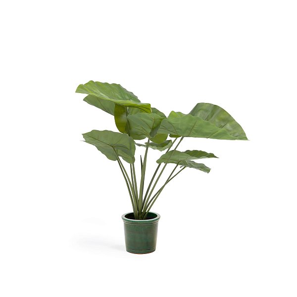 Искусственное растение Alocasia пахучая с черным горшком 57 см La Forma (ex Julia Grup)