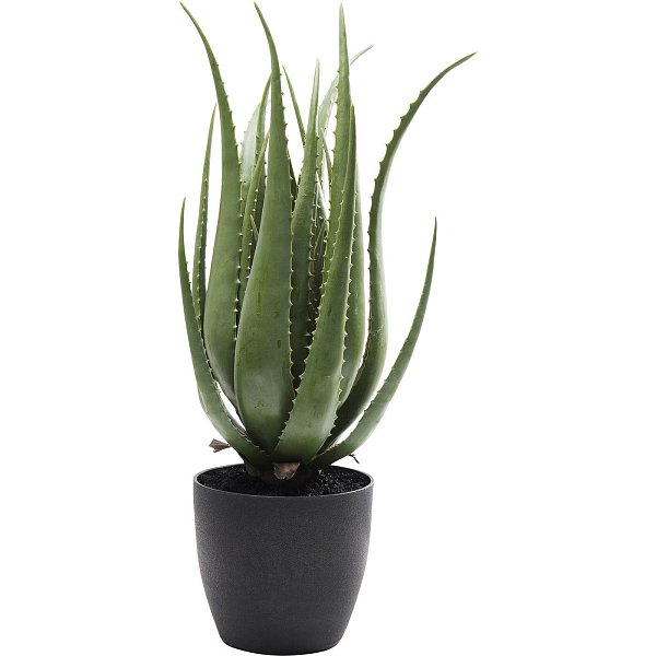 Предмет декоративный Aloe 60724 KARE