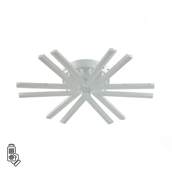 Потолочный светильник Lumion 8029/60CL