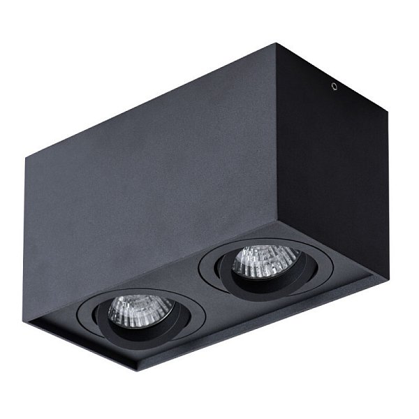 Накладной светильник Arte Lamp A5544PL-2BK