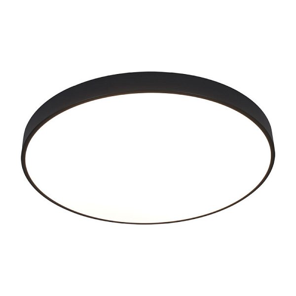 Накладной светильник Arte Lamp A2673PL-1BK