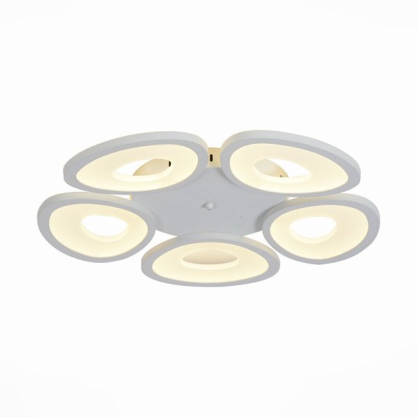 Накладной светильник ST Luce SL929.502.05