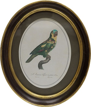 Панно настенное Попугай, под старину Glasar 28-371