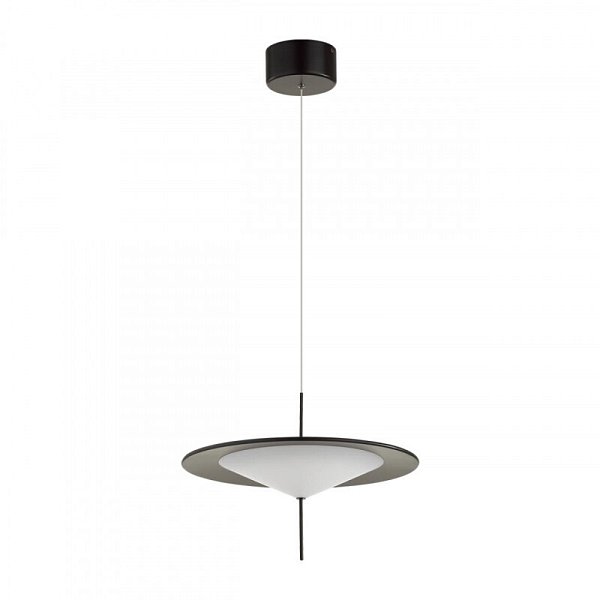 Подвесной светильник Odeon Light 5012/16L