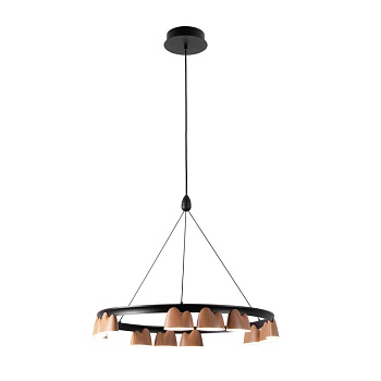 Подвесная люстра Favourite 4266-12P