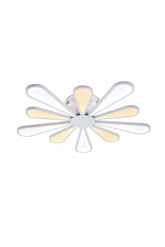 Накладная люстра Lucia Tucci Miracoli 202.10 LED