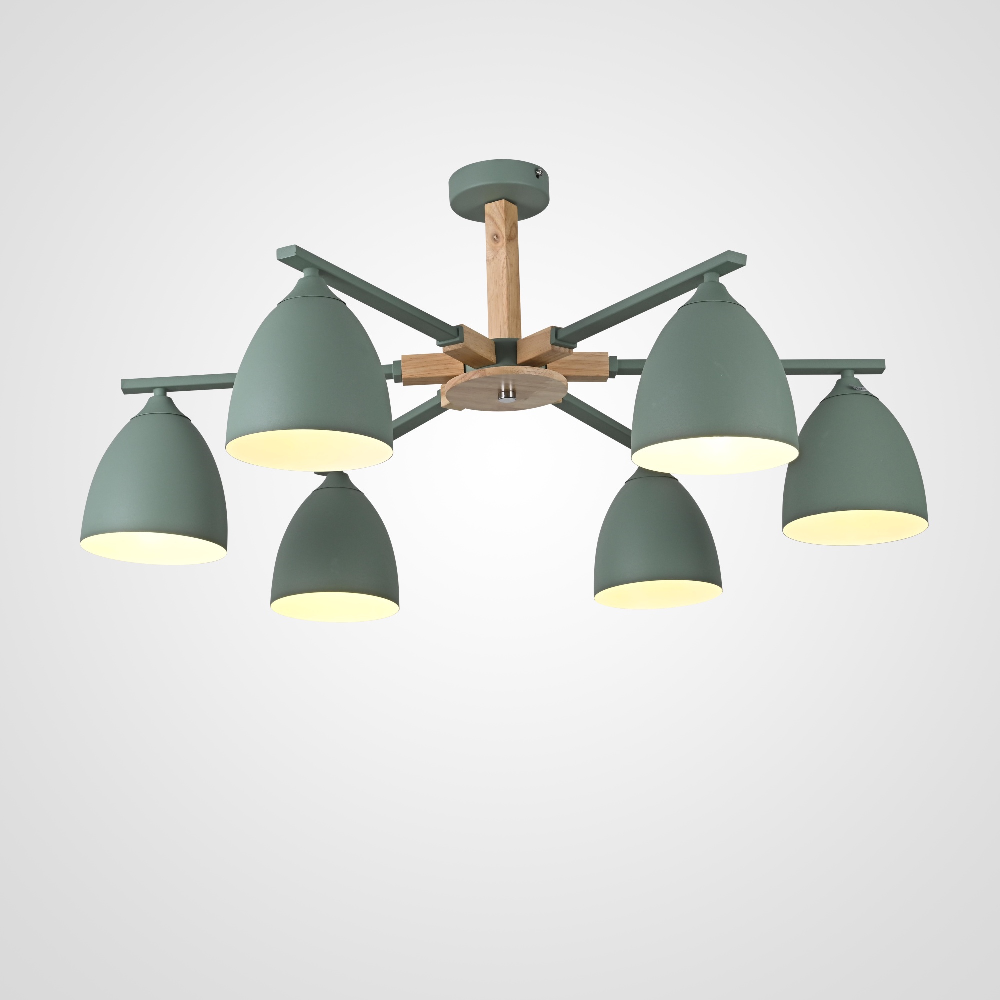 Потолочная люстра NOA 6 Mint by ImperiumLoft