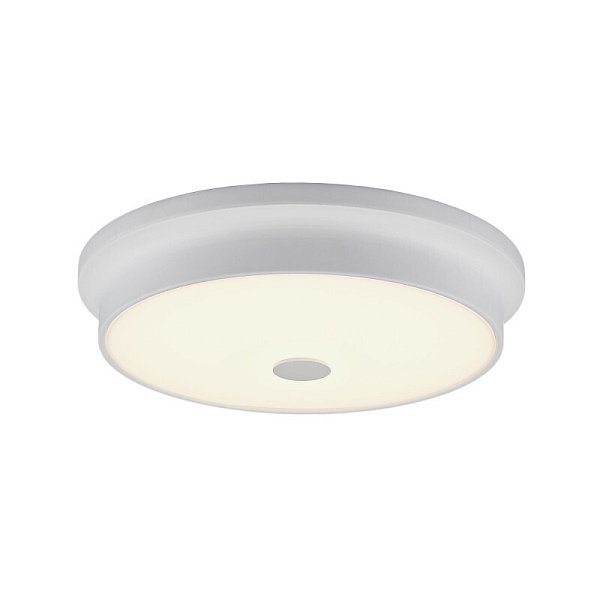 Накладной светильник Citilux CL706230