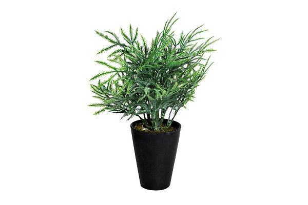 Кипарисовик в горшке Garda Decor 8J-18CK0020