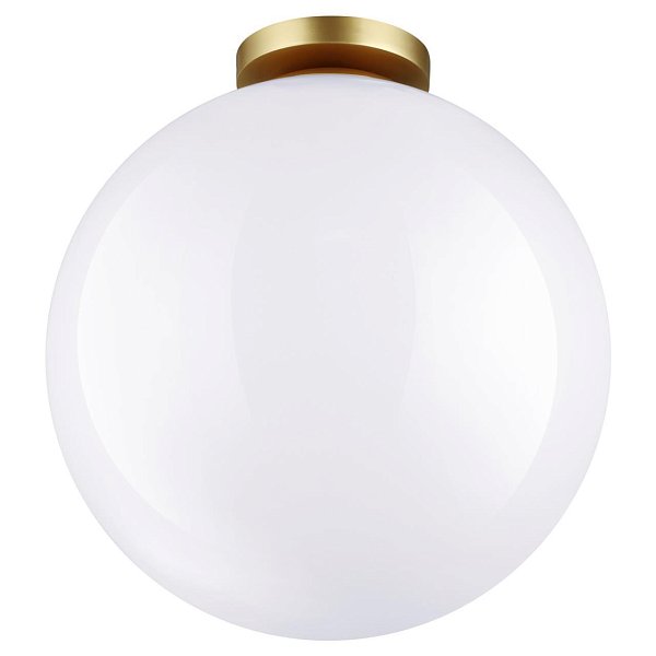 Потолочный накладной светильник Odeon Light 4250/1C