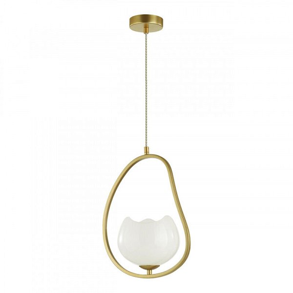 Подвесной светильник Odeon Light 4873/1