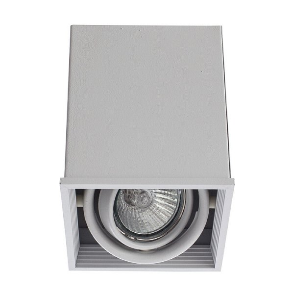 Накладной светильник Arte Lamp A5942PL-1WH