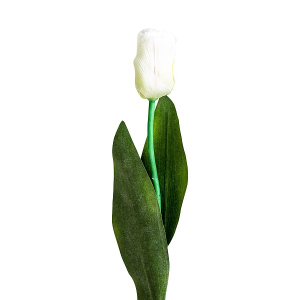 Цветок TULIPAN в белом цвете Vical