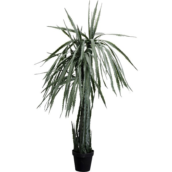Растение декоративное Dragon Tree 155 см KARE 55916