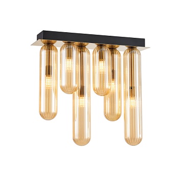 Накладная люстра Favourite 4455-6P