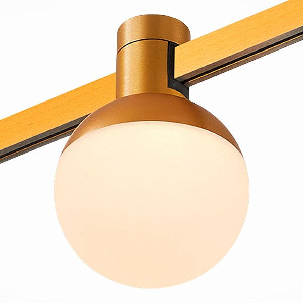 Светильник на шине ST-Luce ST815.246.05