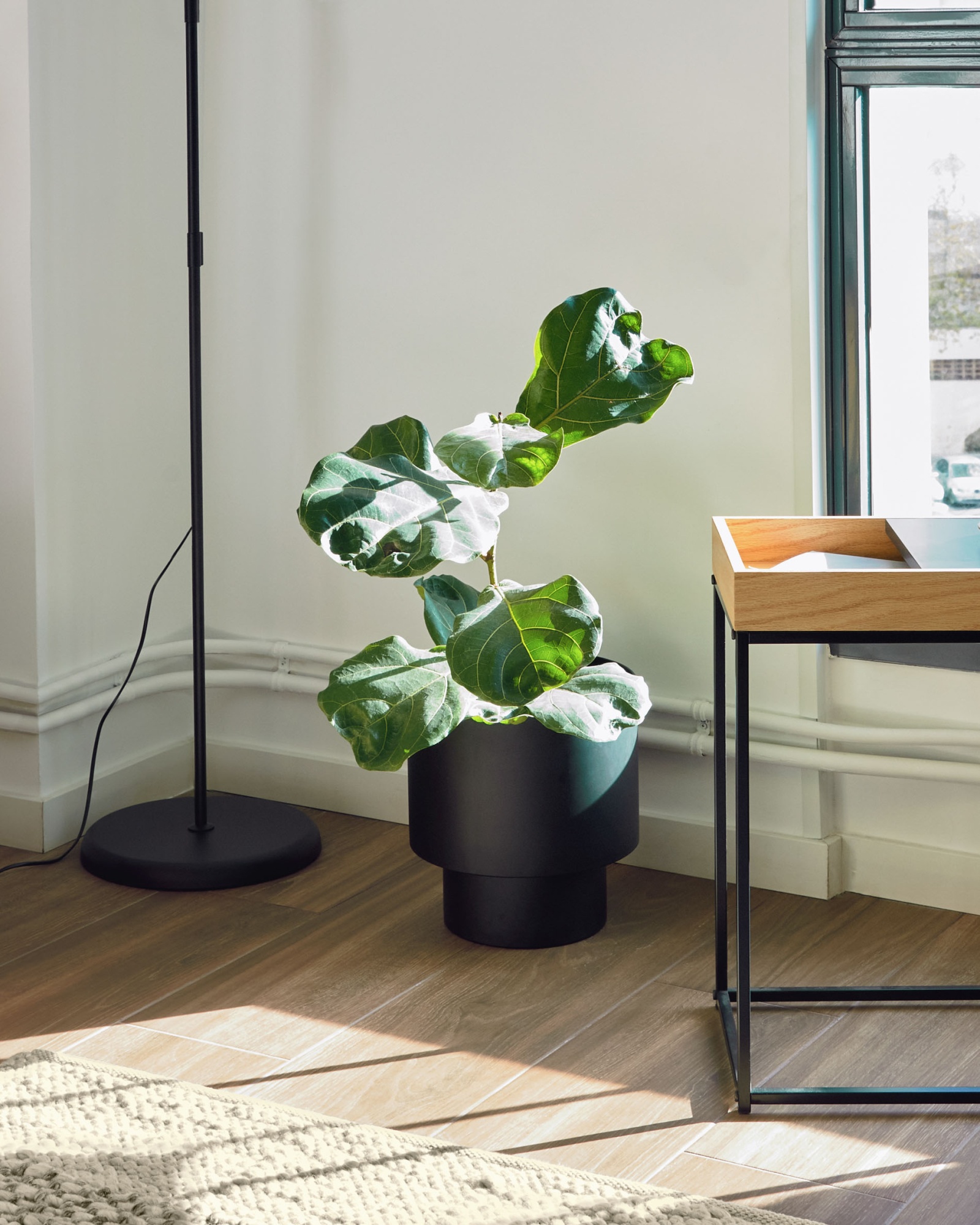 Кашпо для цветов Mash из черного металла Ø 28 см La Forma (ex Julia Grup)