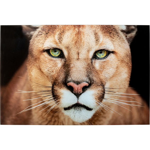 Картина Lioness 53598 Kare