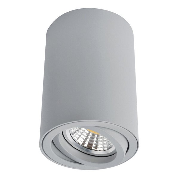 Накладной светильник Arte Lamp A1560PL-1GY