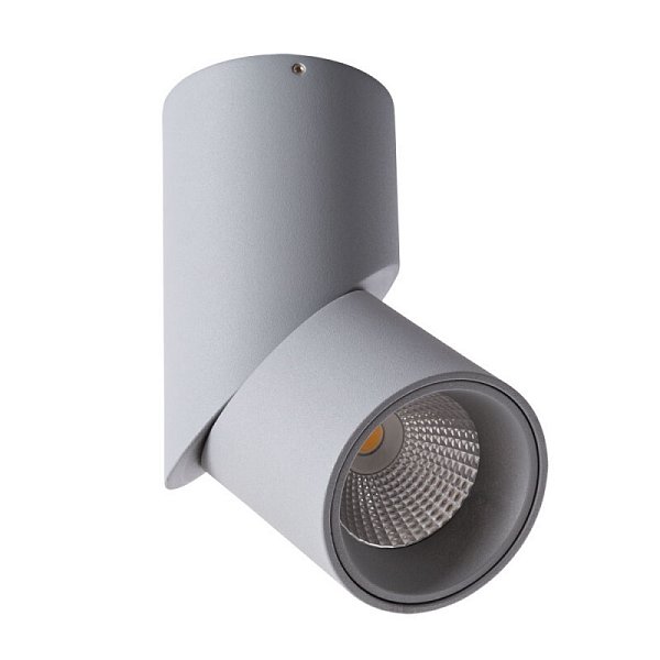 Накладной светильник Arte Lamp A7717PL-1GY