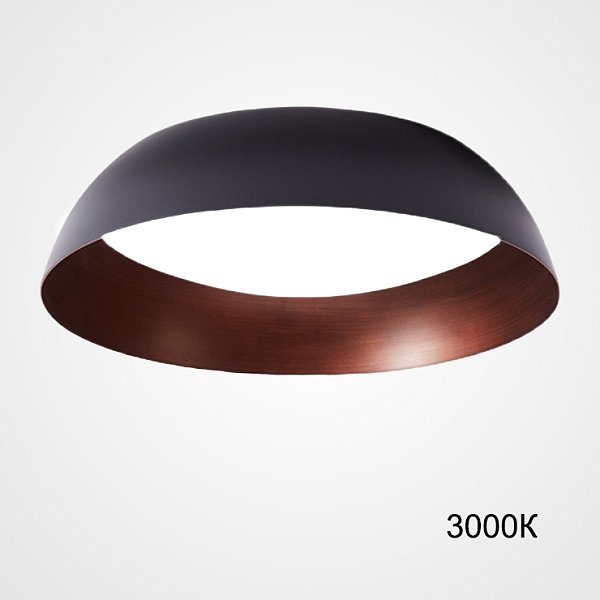 Потолочный светильник BARBO D40 3000К by ImperiumLoft