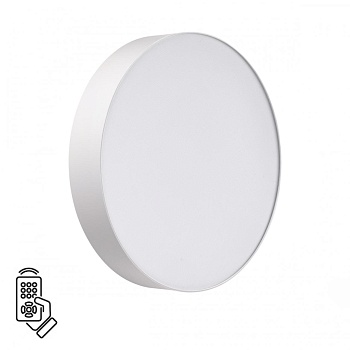 Настенно-потолочный светильник Sonex 7779/DL