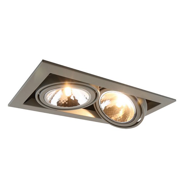 Встраиваемый светильник Arte Lamp A5949PL-2GY