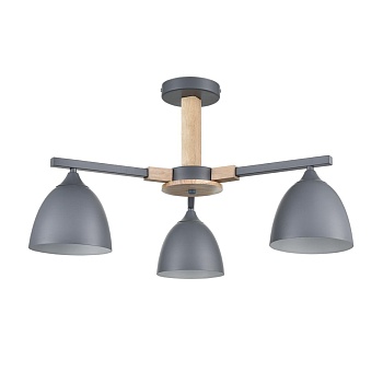 Люстра потолочная Lumion 8096/3C