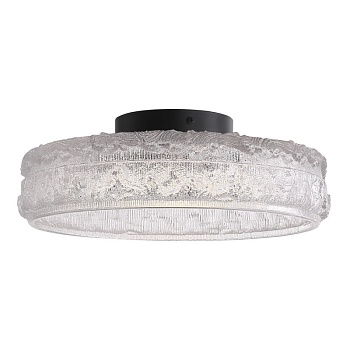 Накладной светильник ST-Luce SL6143.402.01