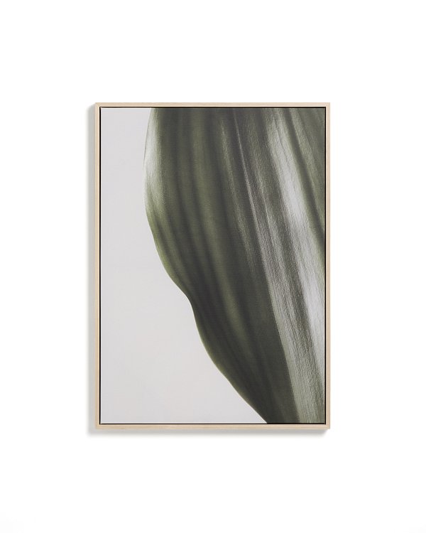 Фотография листа Foliae размер 52 x 72 см La Forma 481675