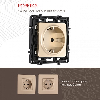 Розетка Arte Milano 217.40-1.shampan