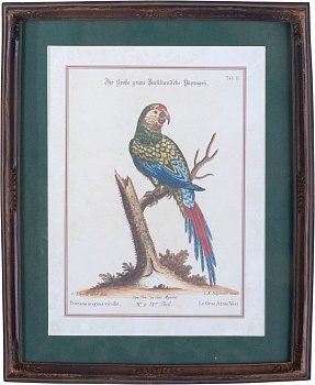 Панно настенное Попугай, под старину Glasar 28-735