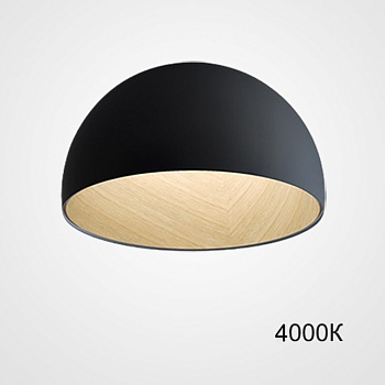 Потолочный светильник BARA B D35 Black 4000К by ImperiumLoft