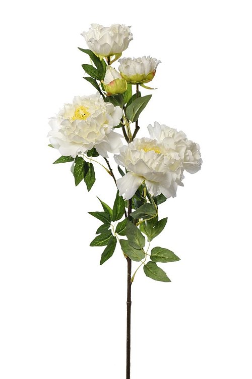 Пион кустовой белый Garda Decor 9F28514-1538