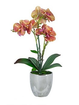 Растение декоративное Орхидея Glasar 420026-AB