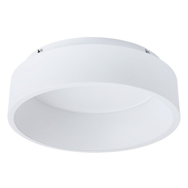 Накладной светильник Arte Lamp A6245PL-1WH