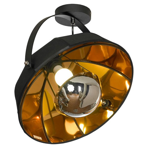 Люстра на штанге Lussole LGO LSP-0556-C