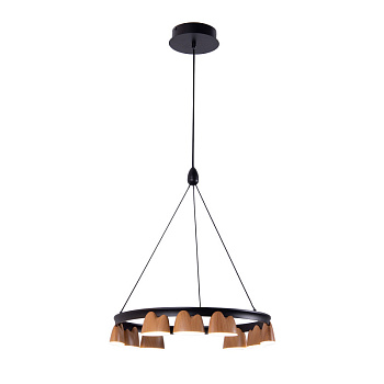 Подвесная люстра Favourite 4266-9P