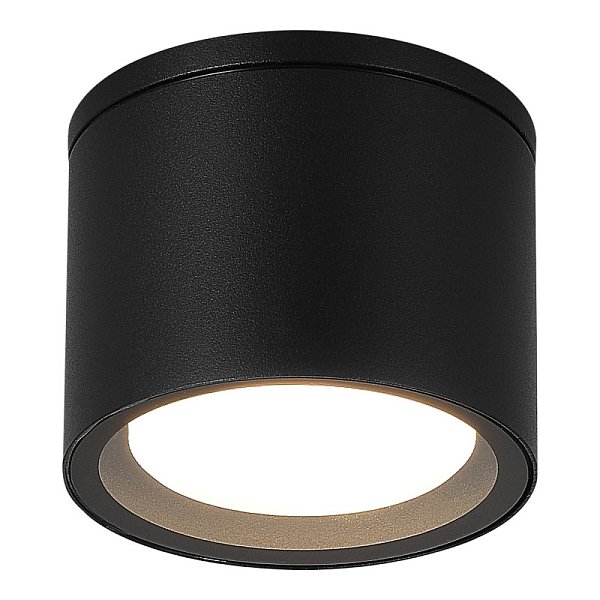 Накладной уличный светильник ST-Luce SL9006.402.01
