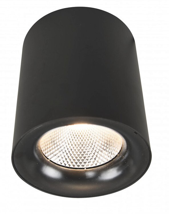 Накладной светильник Arte Lamp A5118PL-1BK
