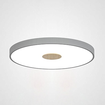 Потолочный светильник CENTRUM D40 Grey by ImperiumLoft