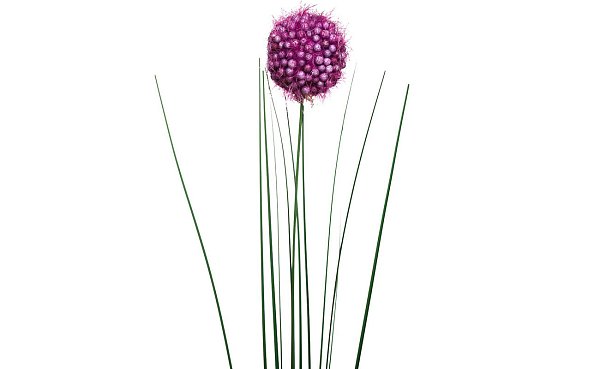 Искусственный цветок Алиум фиолетовый Garda Decor 8J-14RS0018