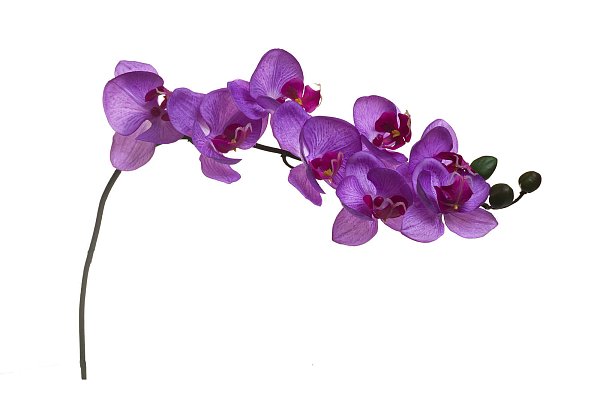 Орхидея лиловая Garda Decor 8J-1219S0005