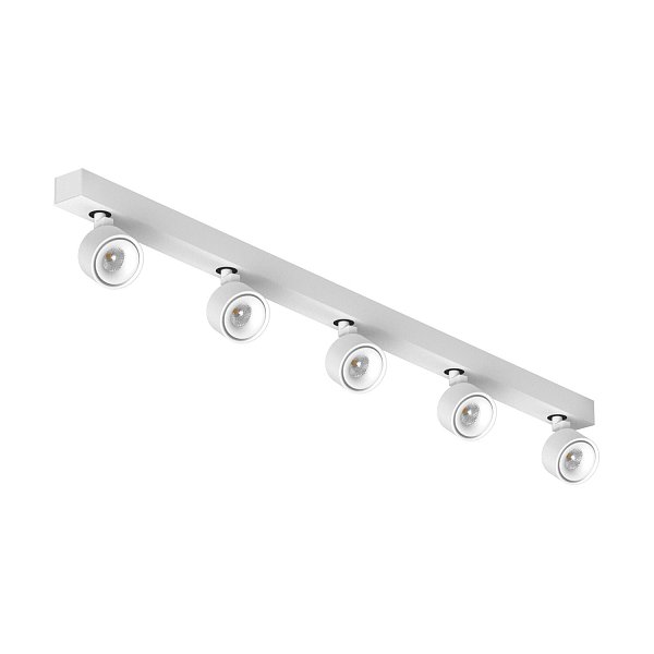 Накладной  светодиодный светильник Ledron SAGITONY E5 S75 Dim White