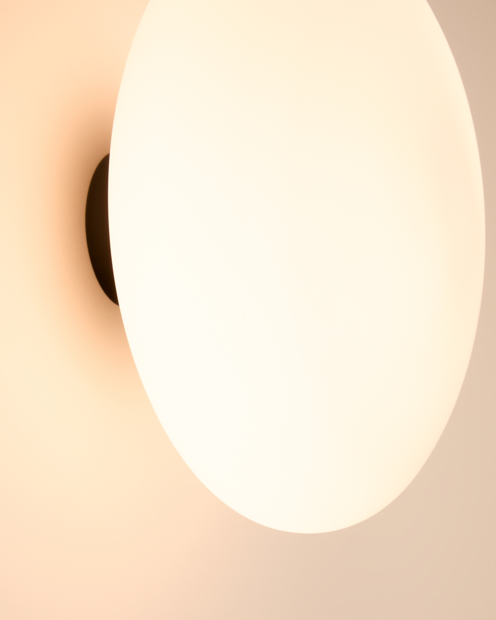 Bamila Бра из дымчатого стекла и черного металла Ø25 см La Forma (ex Julia Grup)