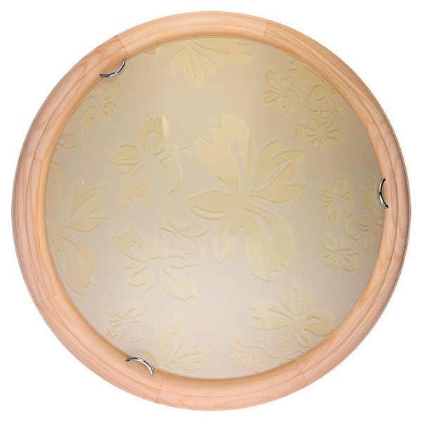 Накладной светильник TOPLIGHT TL9640Y-00PN