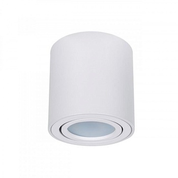 Накладной светильник ARTE Lamp A1513PL-1WH
