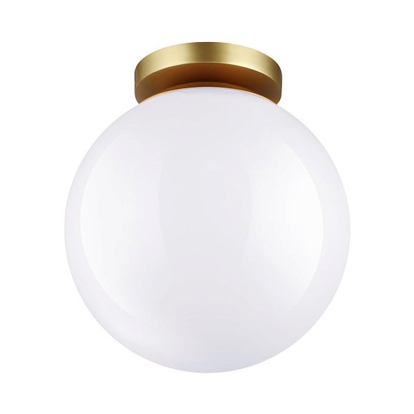 Потолочный накладной светильник Odeon Light 4248/1C