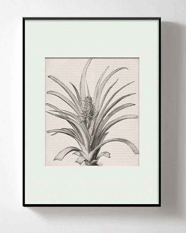 Интерьерный постер “Pineapple” Louvre Home PP230225